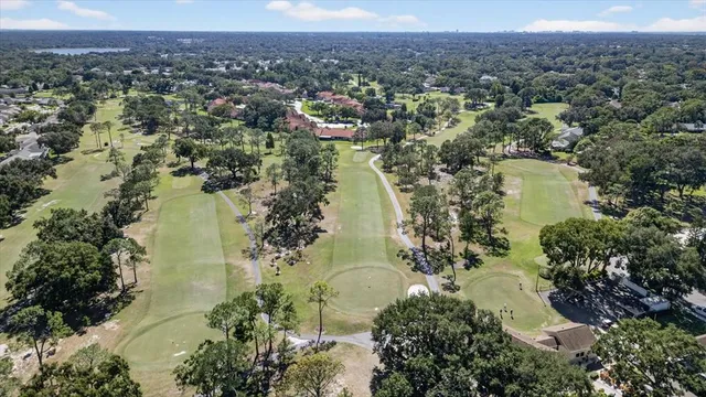 an aerial view of a residential houses with outdoor space and trees