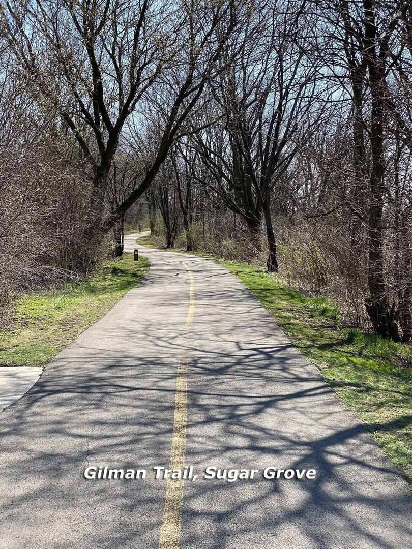5-s729 May Road Sugar Grove, IL 60554 - Photo 8 of 12
