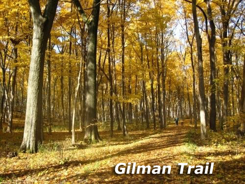 5-s729 May Road Sugar Grove, IL 60554 - Photo 10 of 12
