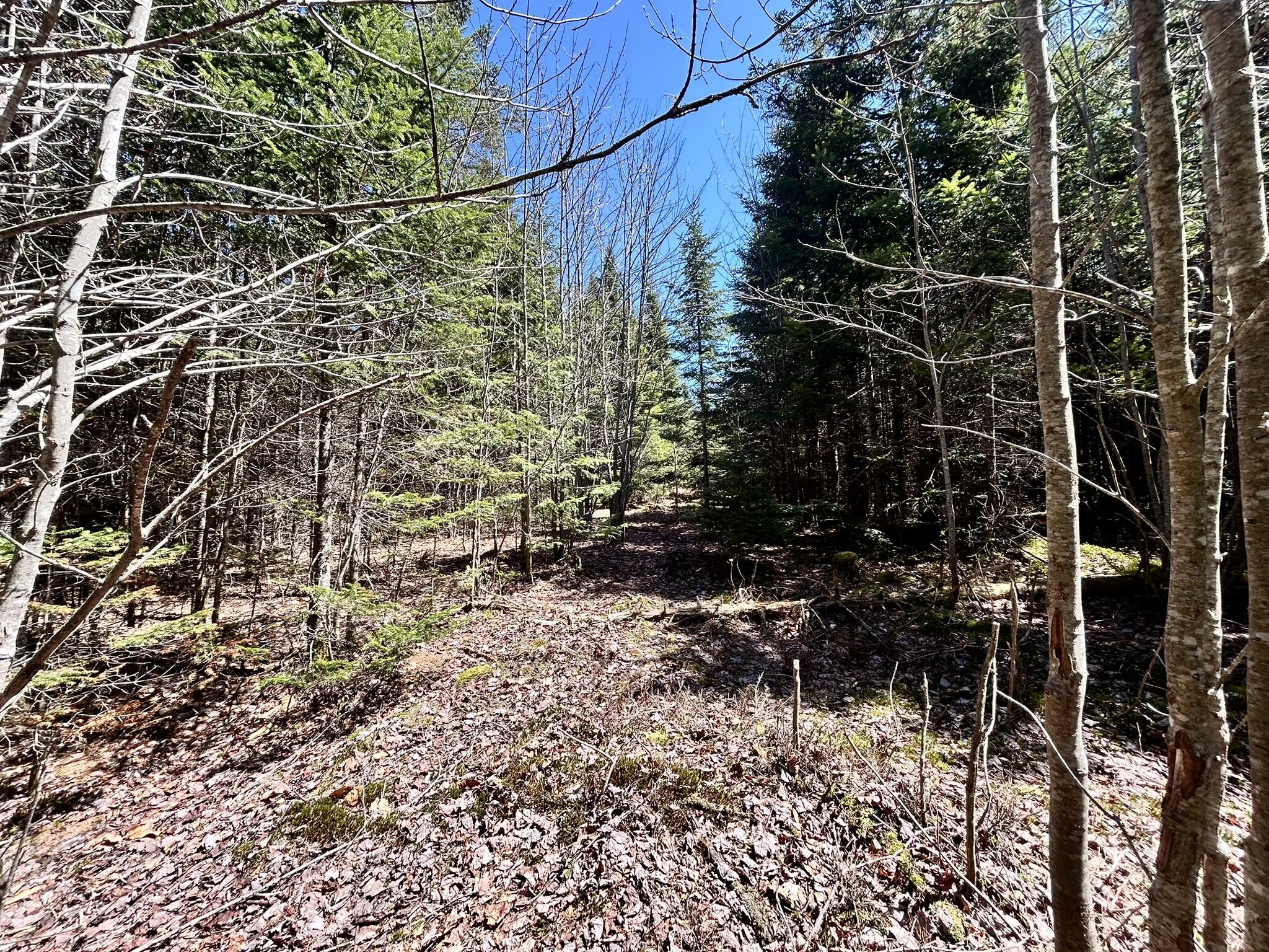 8 Map Road Garland, ME 04939 - Photo 4 of 8 IMG_2940