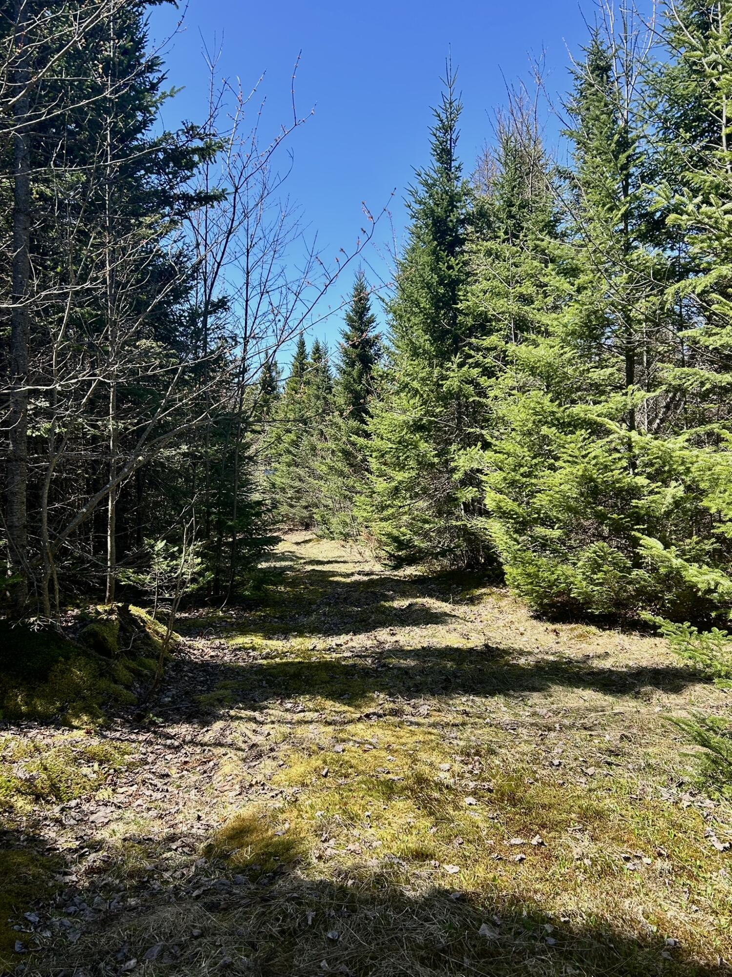 8 Map Road Garland, ME 04939 - Photo 5 of 8 IMG_2942