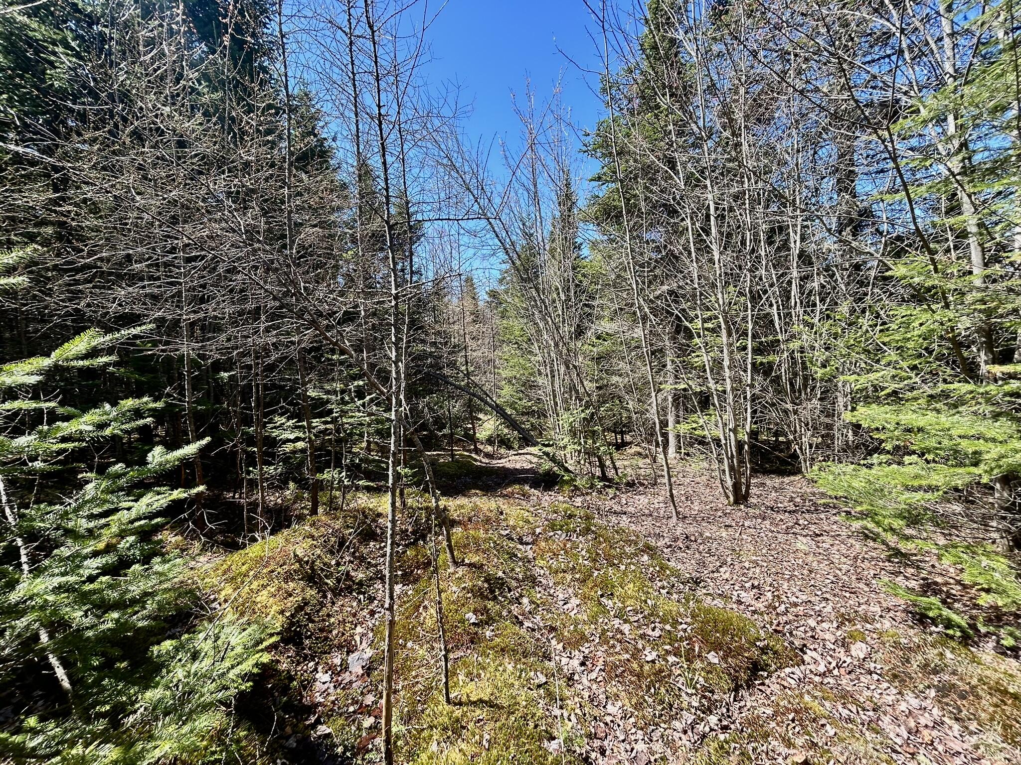 8 Map Road Garland, ME 04939 - Photo 6 of 8 IMG_2944