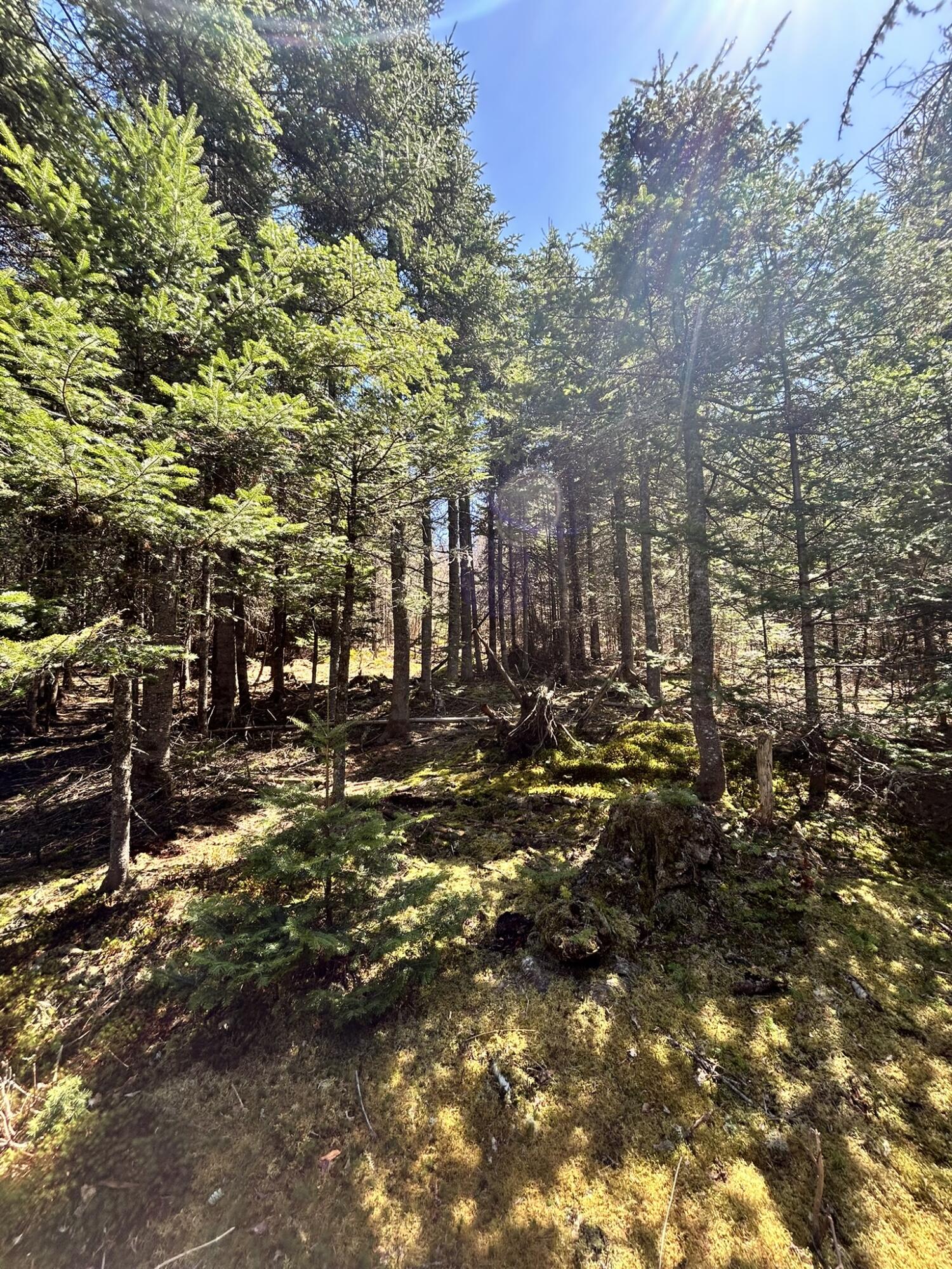 8 Map Road Garland, ME 04939 - Photo 7 of 8 IMG_2945