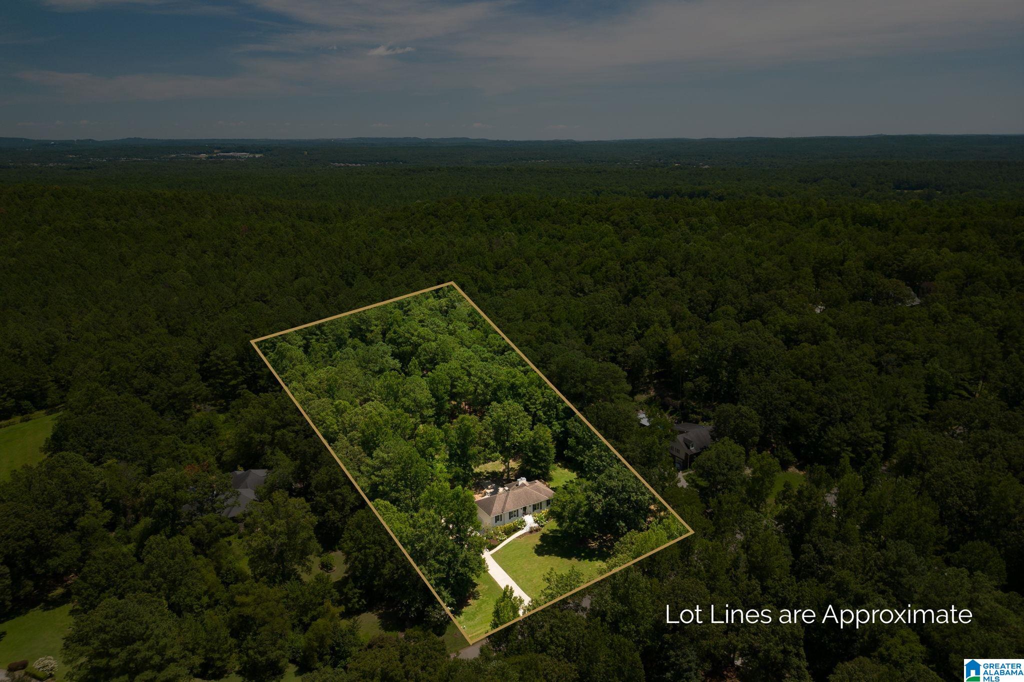 132 Chestnut Lane Helena, AL 35080 - Photo 43 of 59