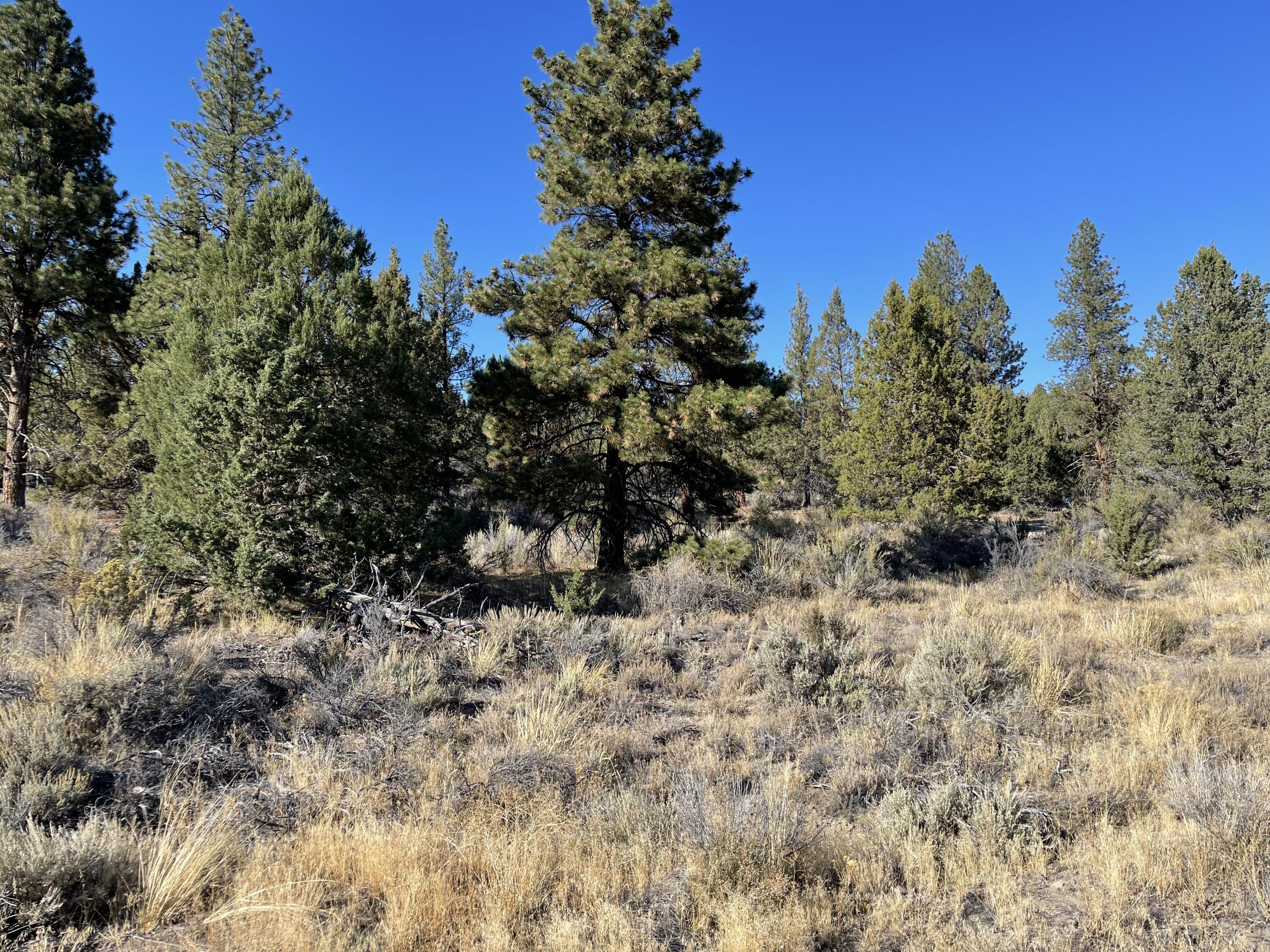 Drews Road Chiloquin, OR 97624 - Photo 10 of 18 IMG_5783