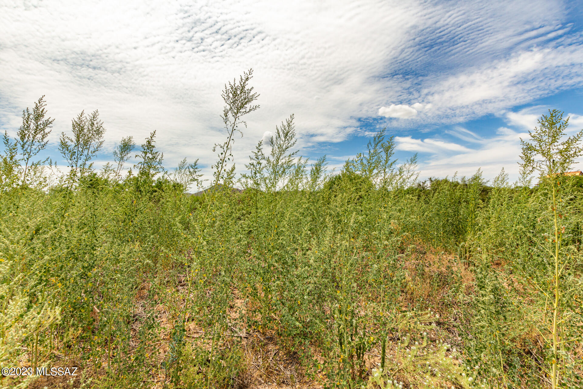 16935 West Hinkley Road Arivaca, AZ 85601 - Photo 9 of 12 Gallery Image 9