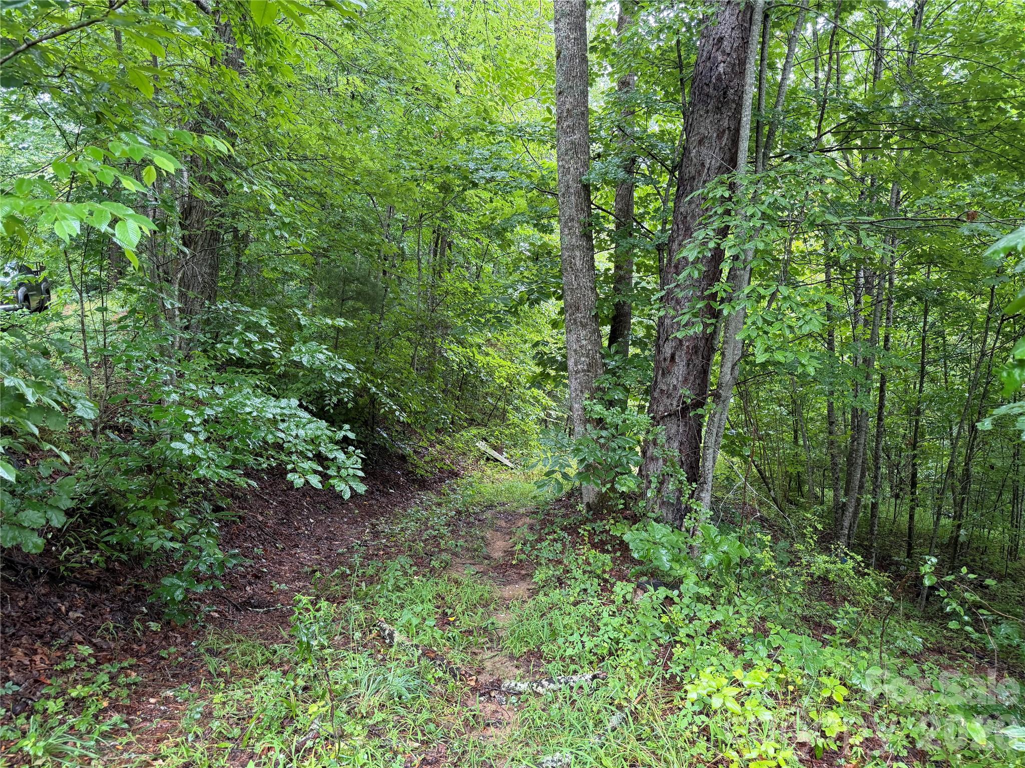 Off Donald McCall Road Balsam Grove, NC 28708 - Photo 22 of 47 Gallery Image 22