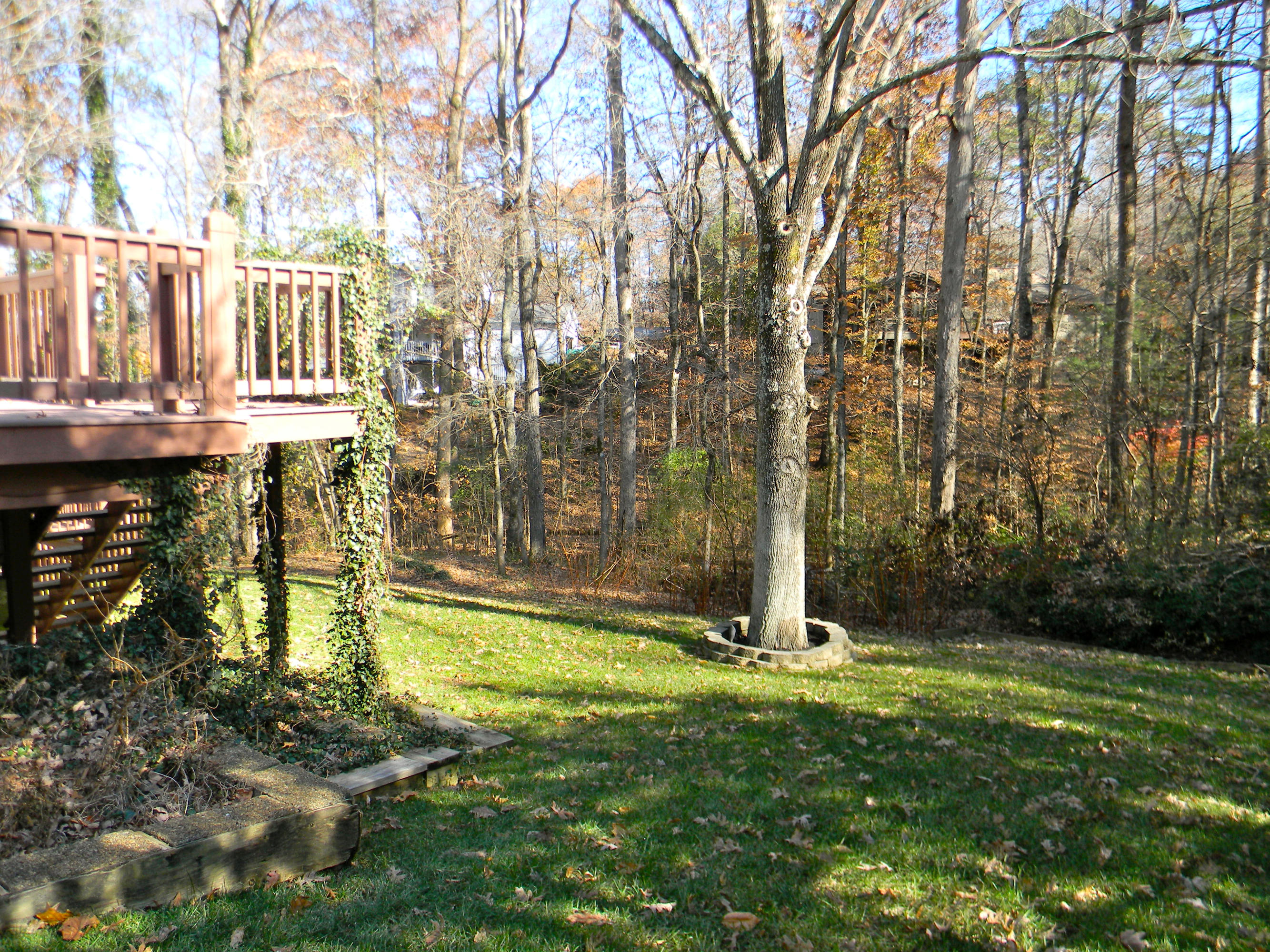 103 Crestview Lane Oak Ridge, TN 37830 - Photo 33 of 39 Beautiful Park-Like Yard