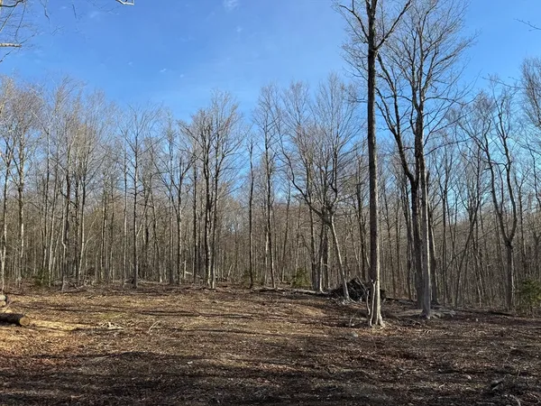 $65,000 | 0 Sadoga Road, Colrain, MA 01340