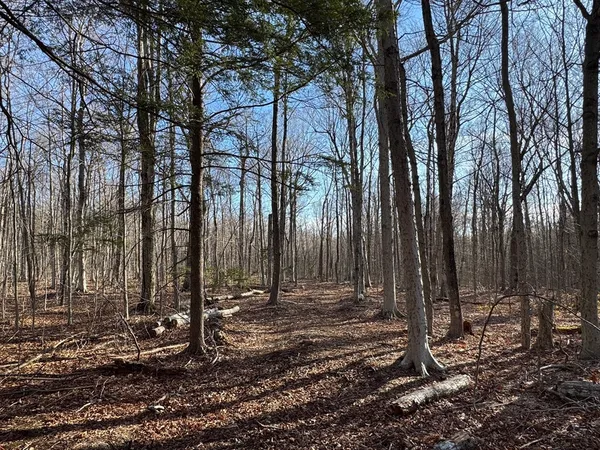 $65,000 | 0 Sadoga Road, Colrain, MA 01340