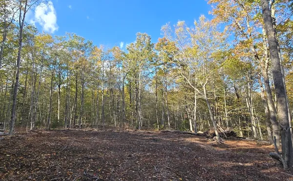 $65,000 | 0 Sadoga Road, Colrain, MA 01340