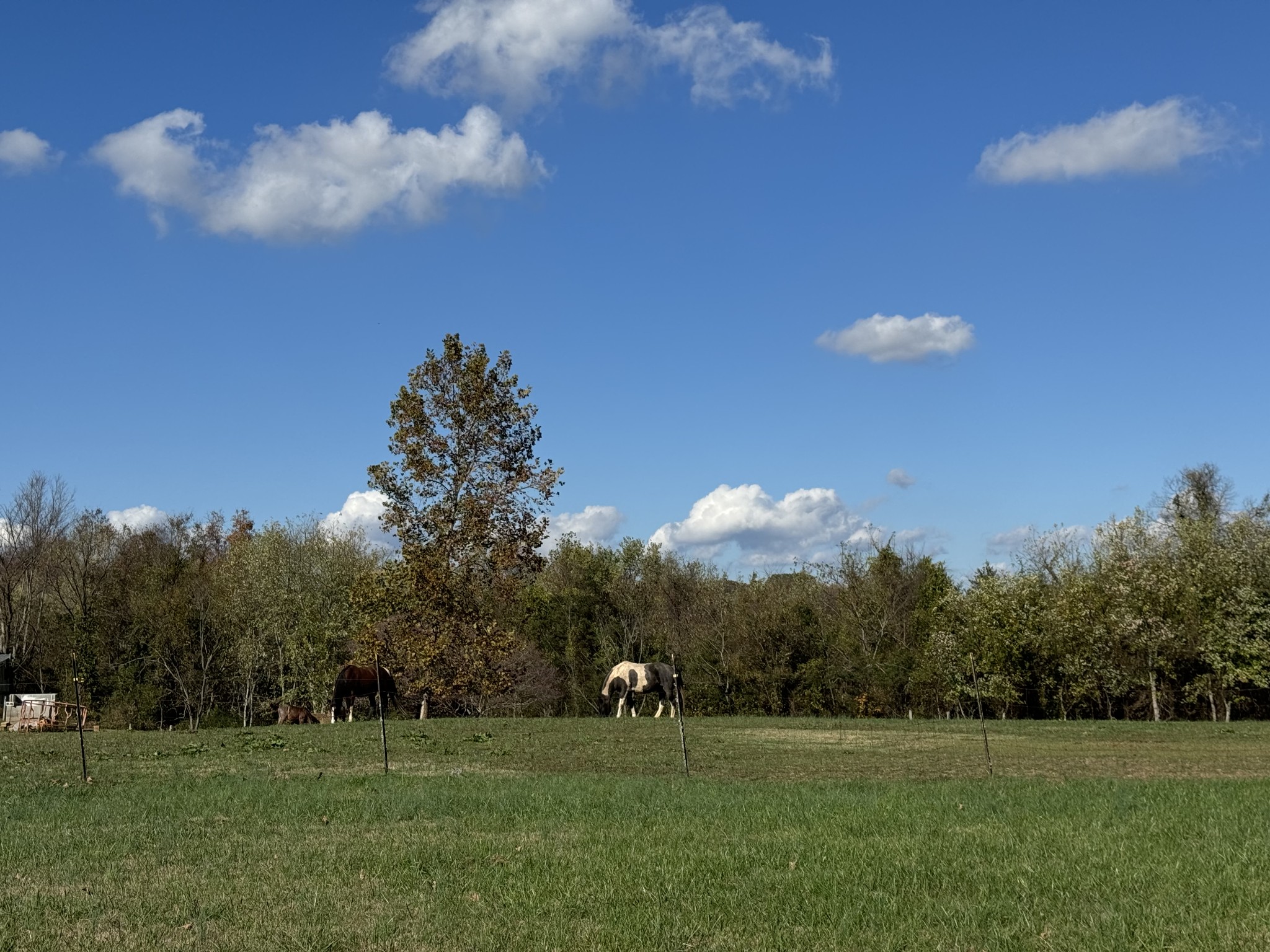 2737 Shellsford Road McMinnville, TN 37110 - Photo 18 of 29 Gallery Image 18