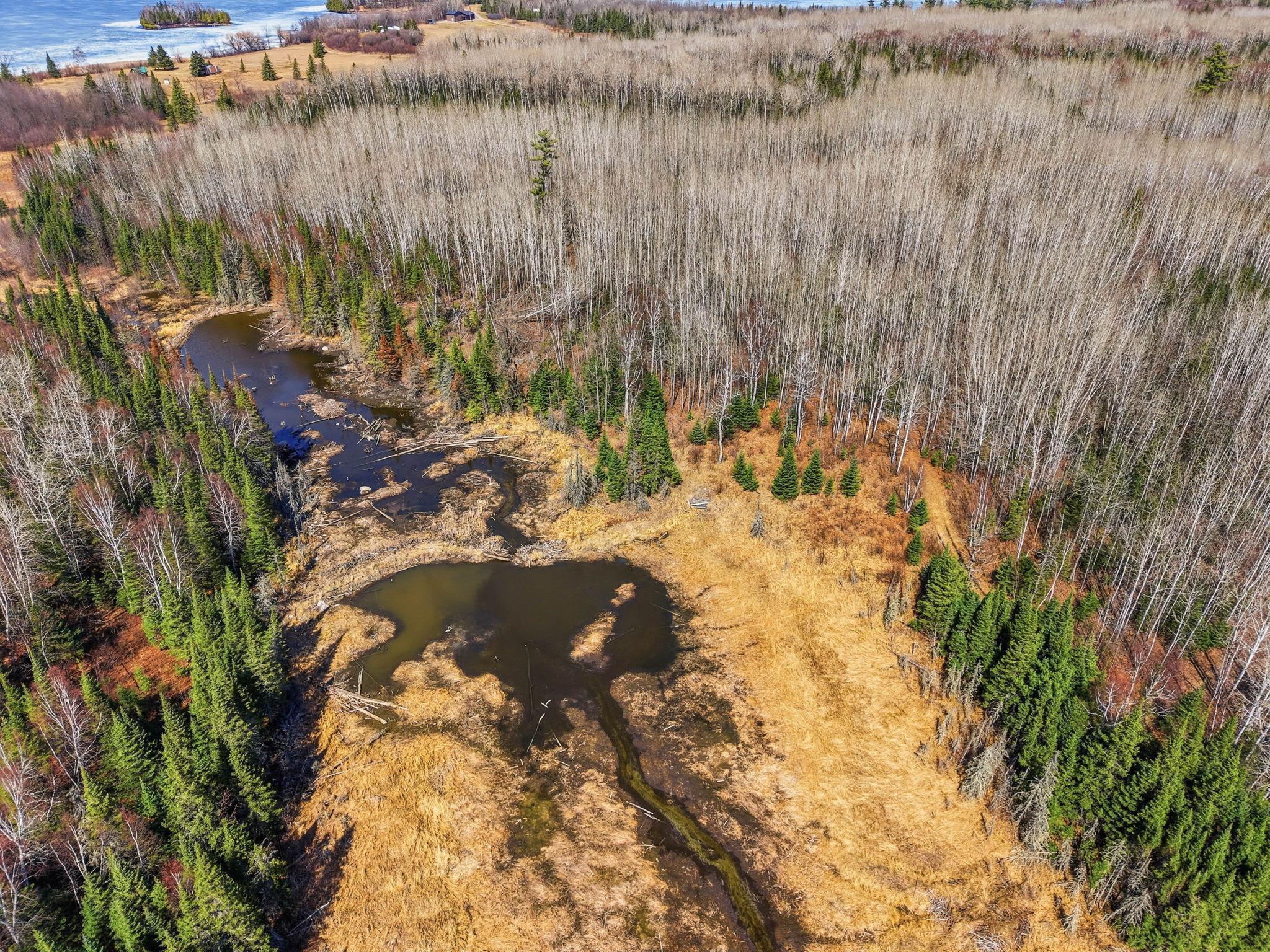 4359 Schweiger Road Orr, MN 55771 - Photo 89 of 93