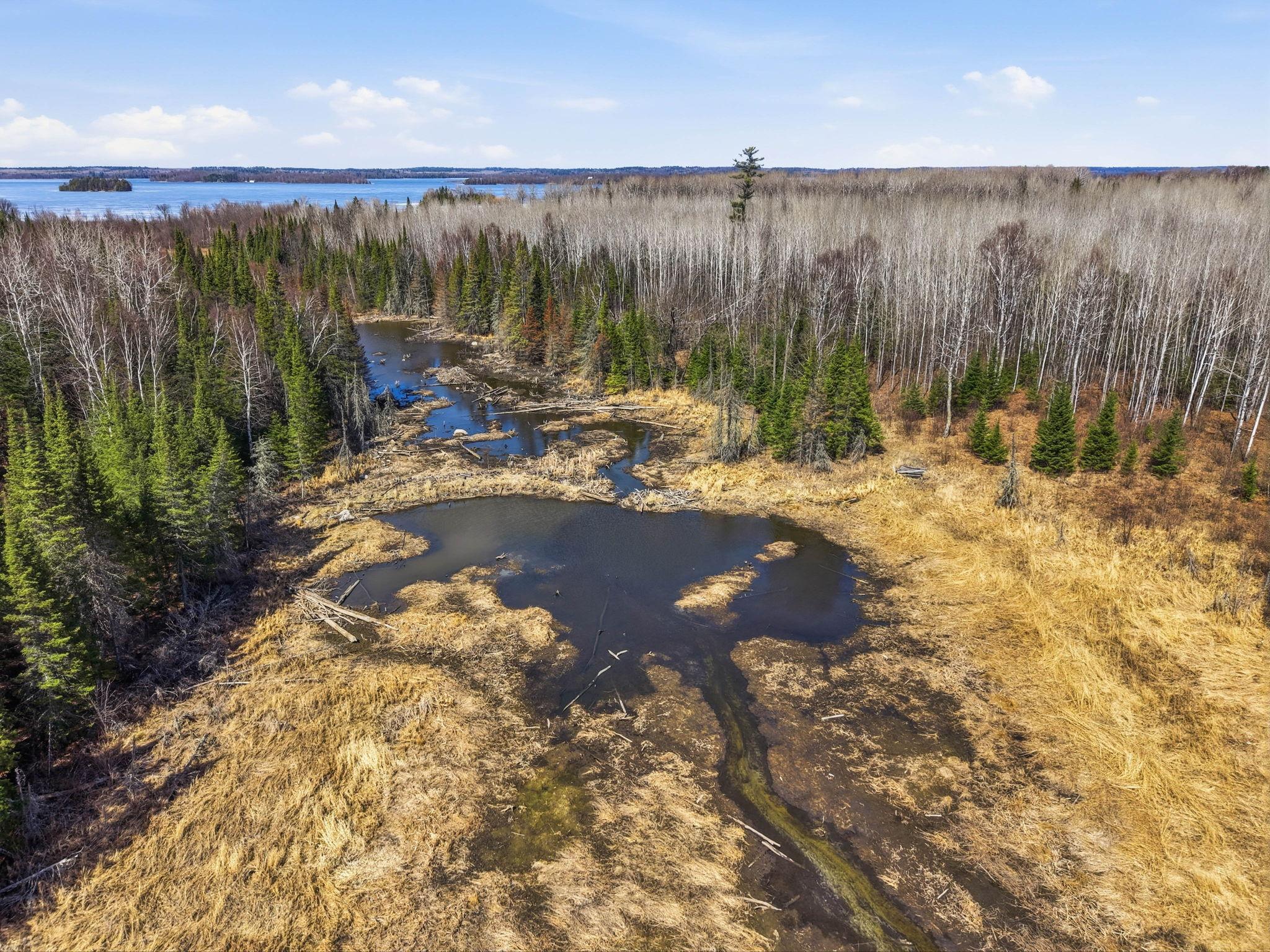 4359 Schweiger Road Orr, MN 55771 - Photo 90 of 93