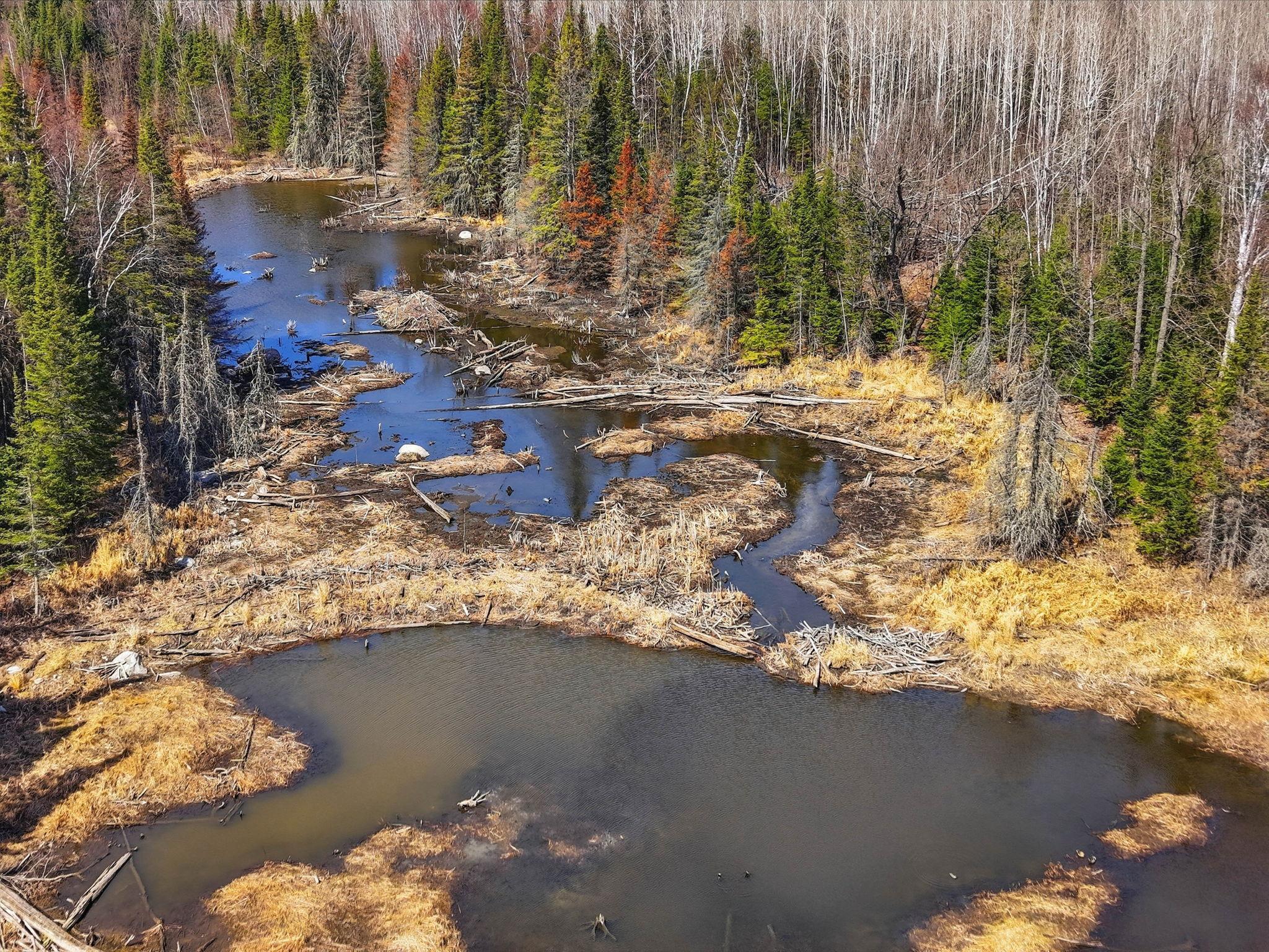 4359 Schweiger Road Orr, MN 55771 - Photo 91 of 93