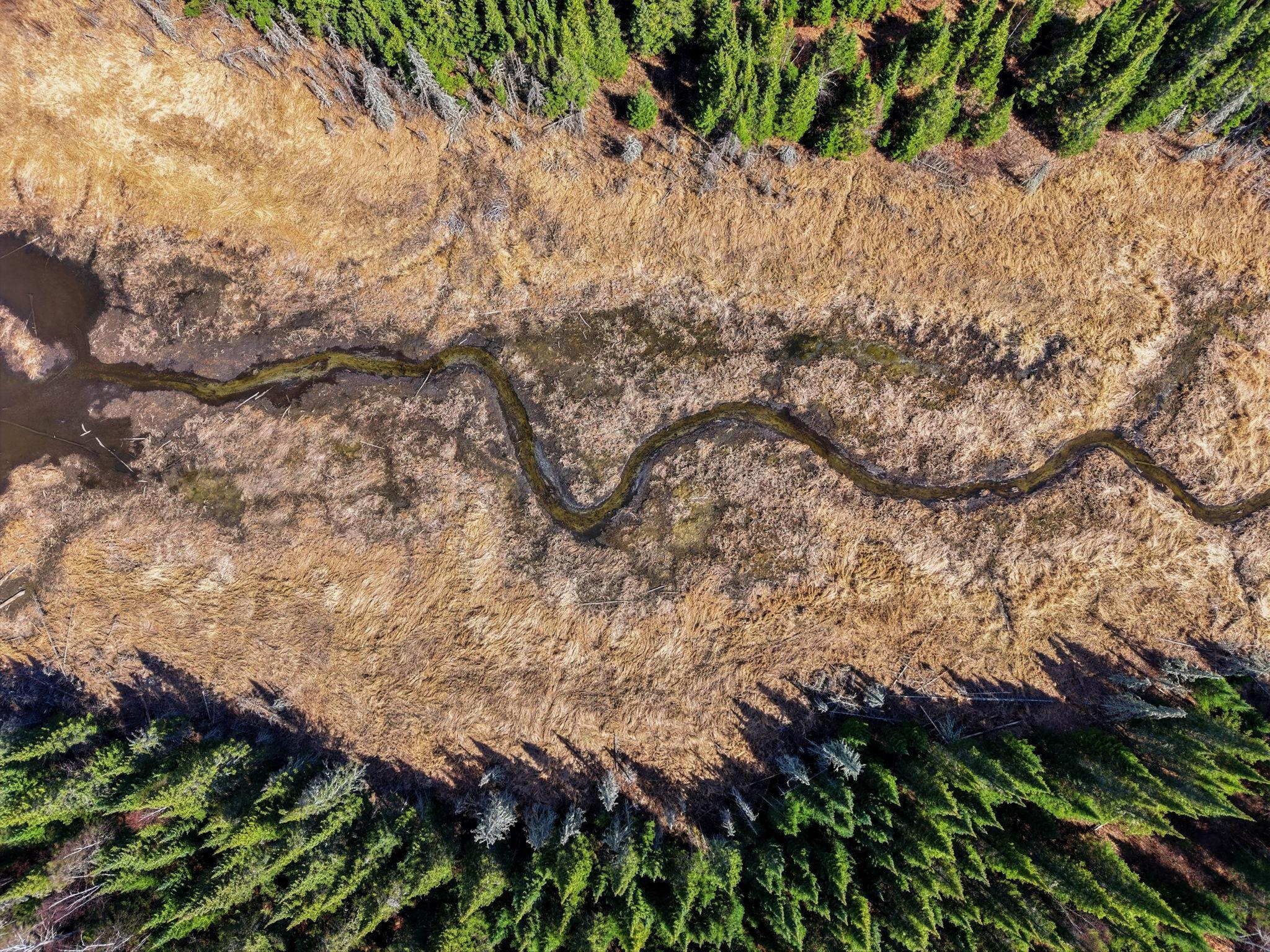 4359 Schweiger Road Orr, MN 55771 - Photo 92 of 93