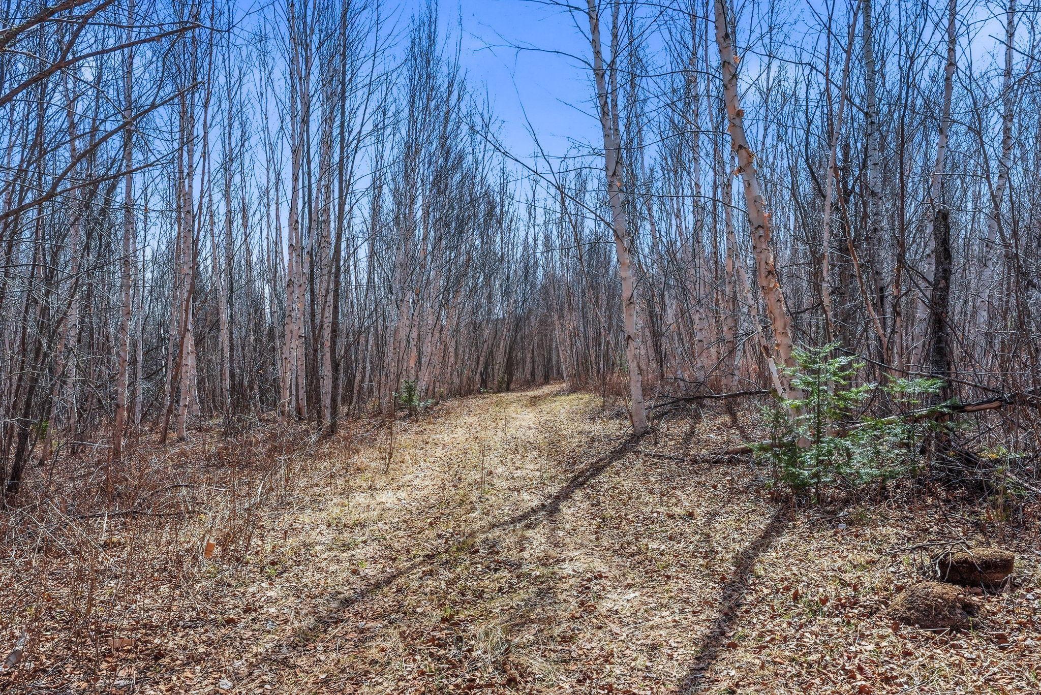 4359 Schweiger Road Orr, MN 55771 - Photo 93 of 93
