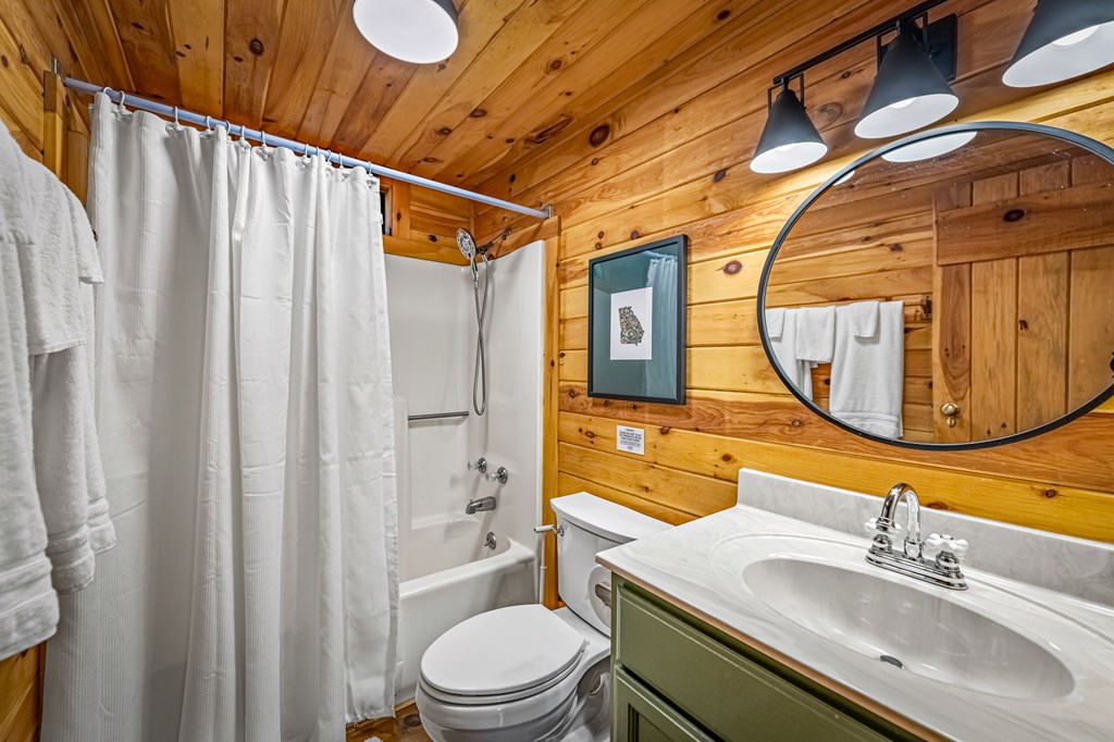 380 Branch Creek Road Blue Ridge, GA 30513 - Photo 12 of 41 Gallery Image 12