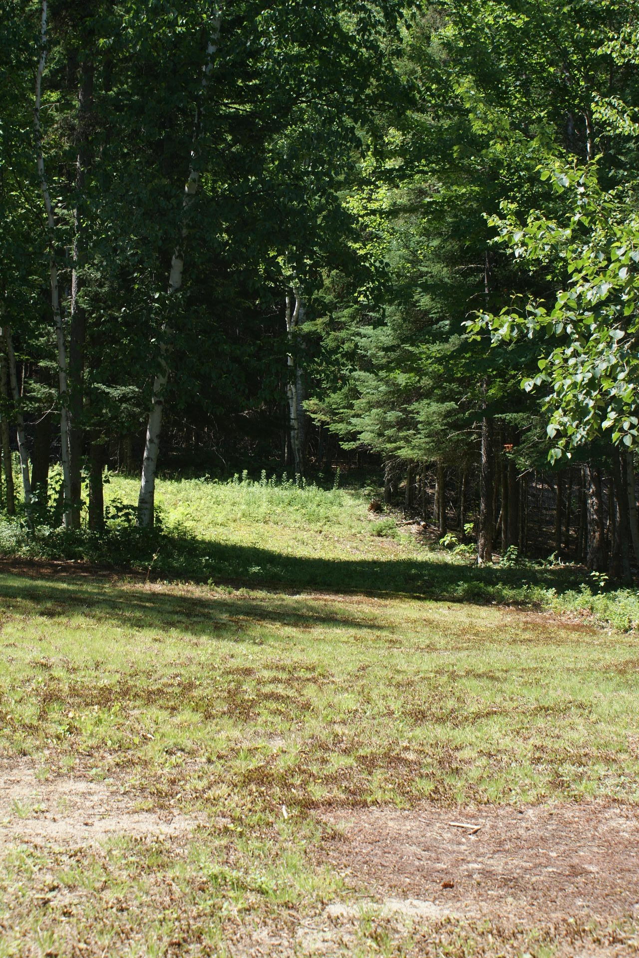 13 Hammonds Hill Road Eustis, ME 04936 - Photo 25 of 34 DSC07079