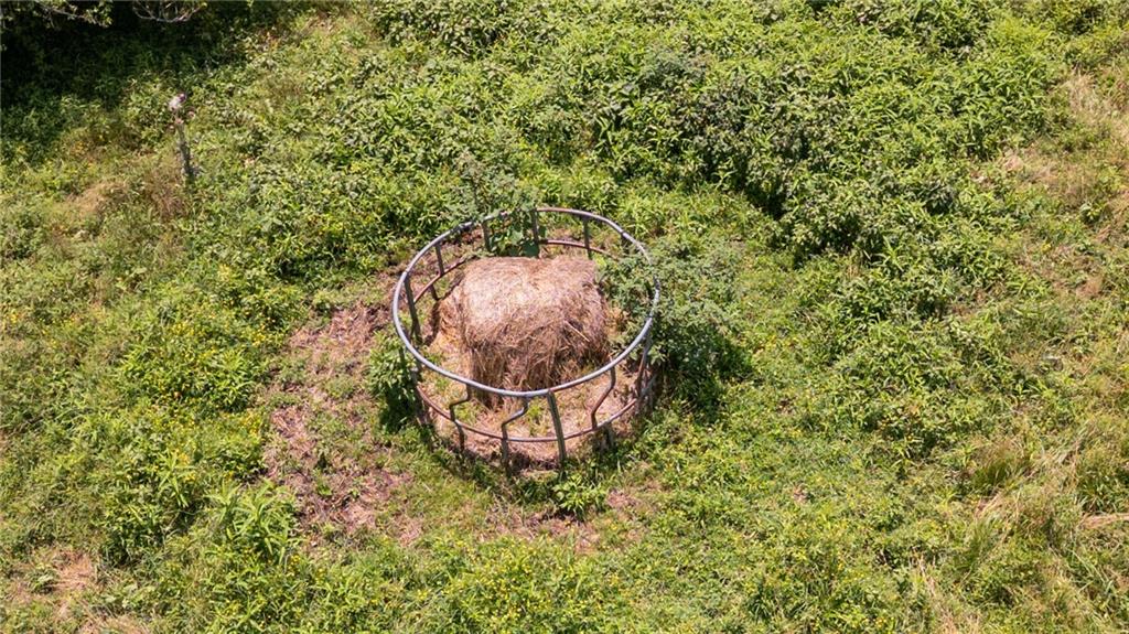 0 Hill City Road Jasper, GA 30143 - Photo 11 of 15