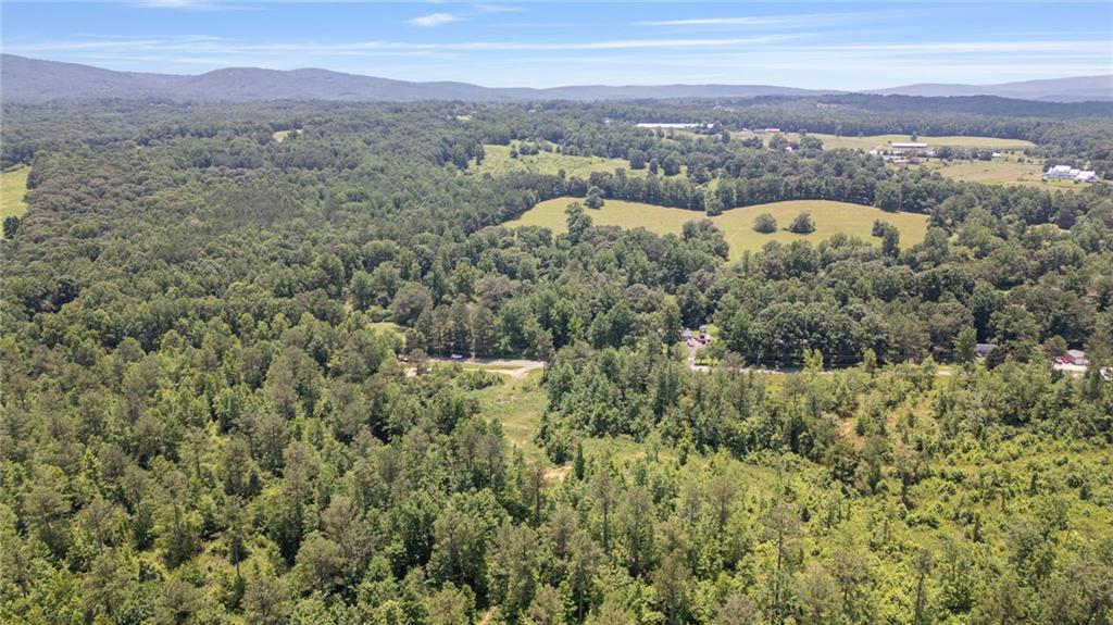 0 Hill City Road Jasper, GA 30143 - Photo 7 of 15