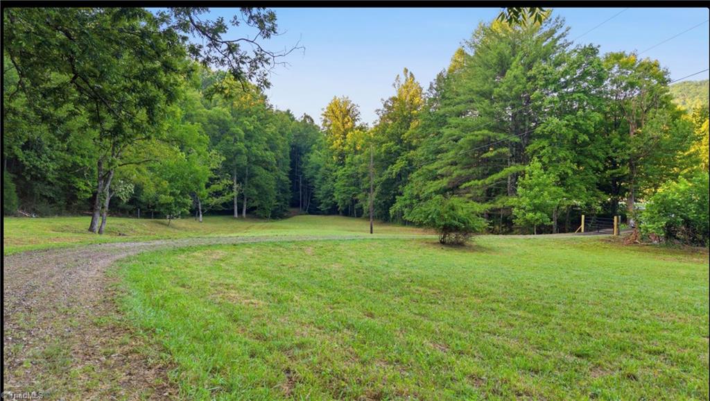 11526 Highway 421 Purlear, NC 28665 - Photo 33 of 45