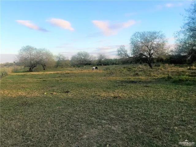 a view of outdoor space with trees