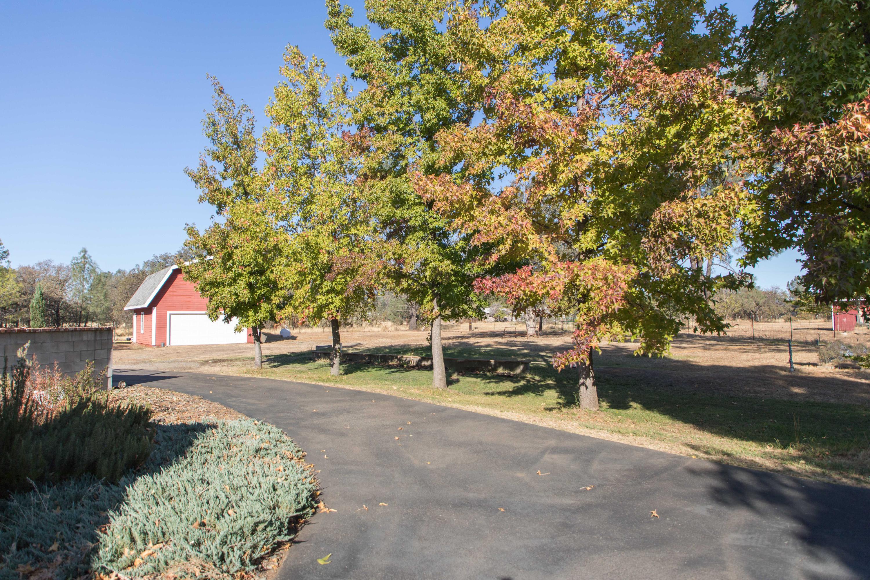 4960 Happy Valley Road Anderson, CA 96007 - Photo 54 of 71 254A4043