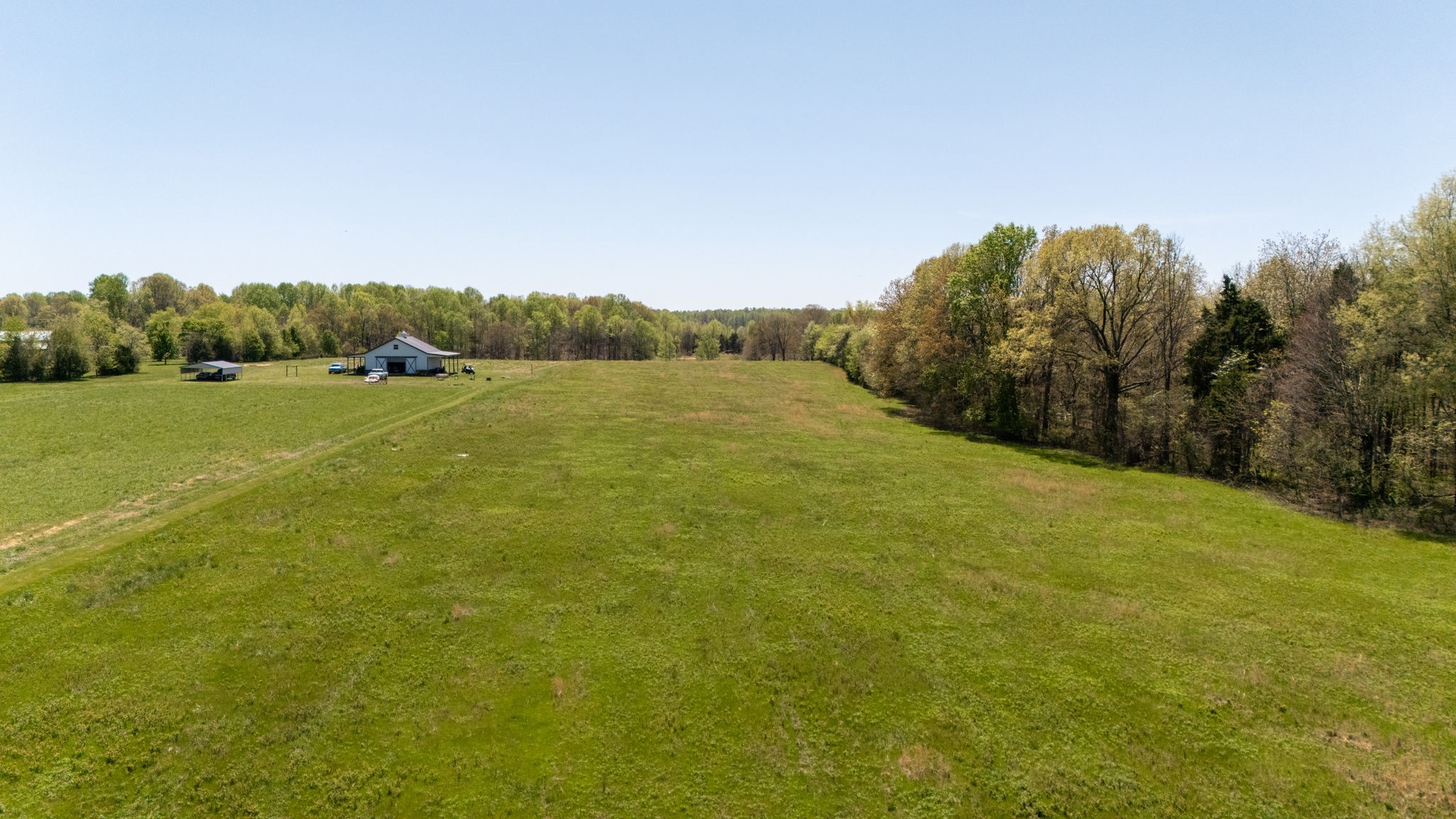 1037 Smith Thompson Road Bethpage, TN 37022 - Photo 1 of 19 a view of big yard with an trees