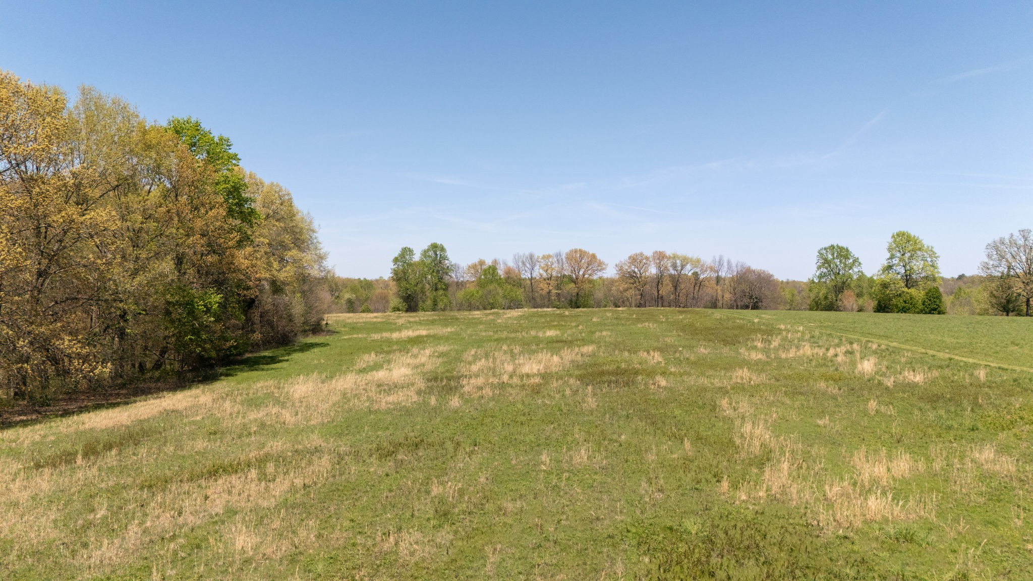 1037 Smith Thompson Road Bethpage, TN 37022 - Photo 9 of 19 a view of a field with an trees