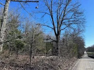 $99,900 | 0 County Road 3200, Mountain View, MO 65548