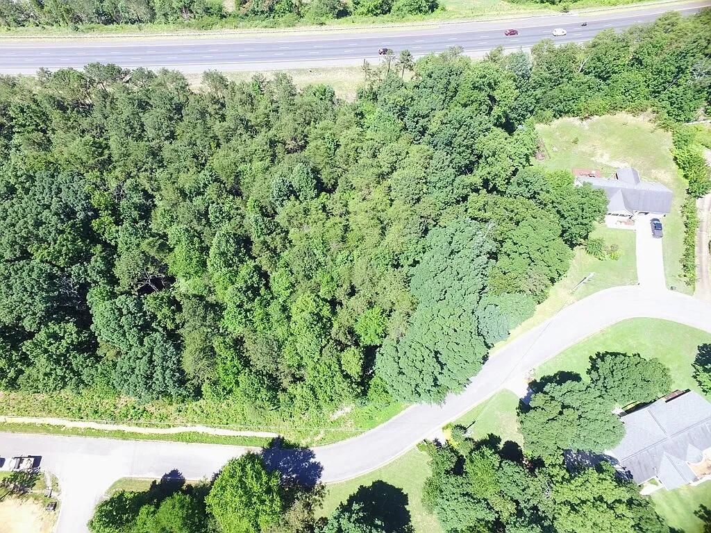 223 Hickory Ridge Trail Ringgold, GA 30736 - Photo 2 of 3 land2