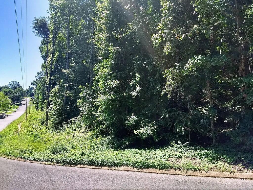 223 Hickory Ridge Trail Ringgold, GA 30736 - Photo 3 of 3 land3