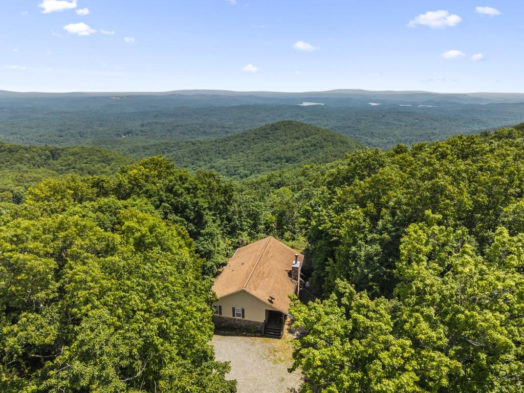 2697 Brushy Top Road Ellijay, GA 30540 - Photo 37 of 41
