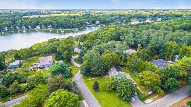 a view of a garden with a lake and mountain view