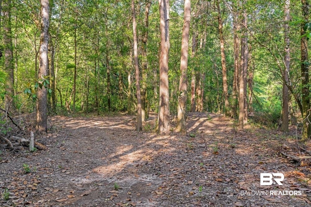 11100 Kali Oka Road Eight Mile, AL 36613 - Photo 25 of 49