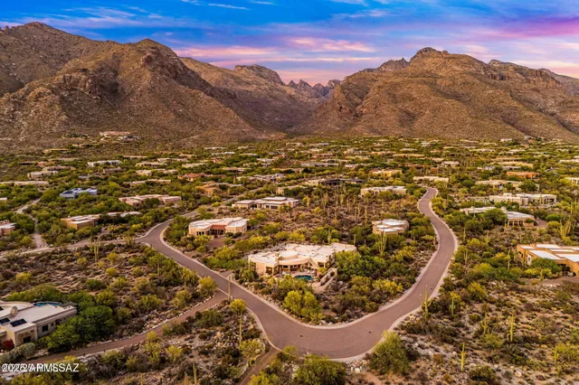 a view of a yard with plants and tree