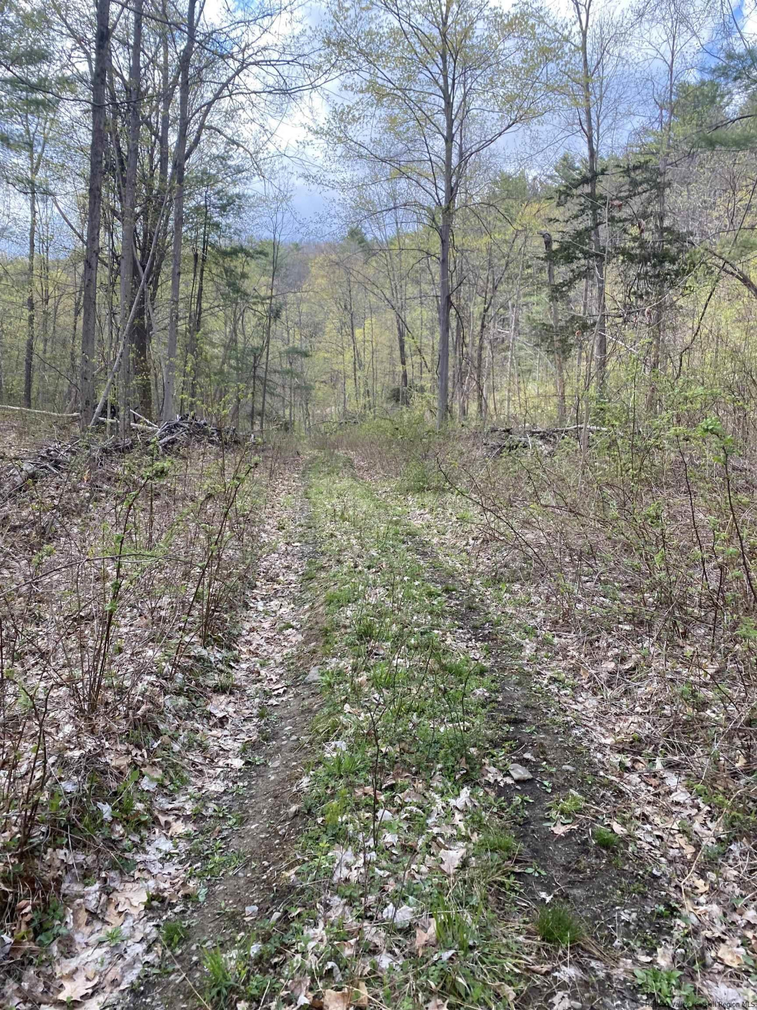 Tbd Mill Valley Road Middleburgh, NY 12122 - Photo 2 of 7 Photo 2