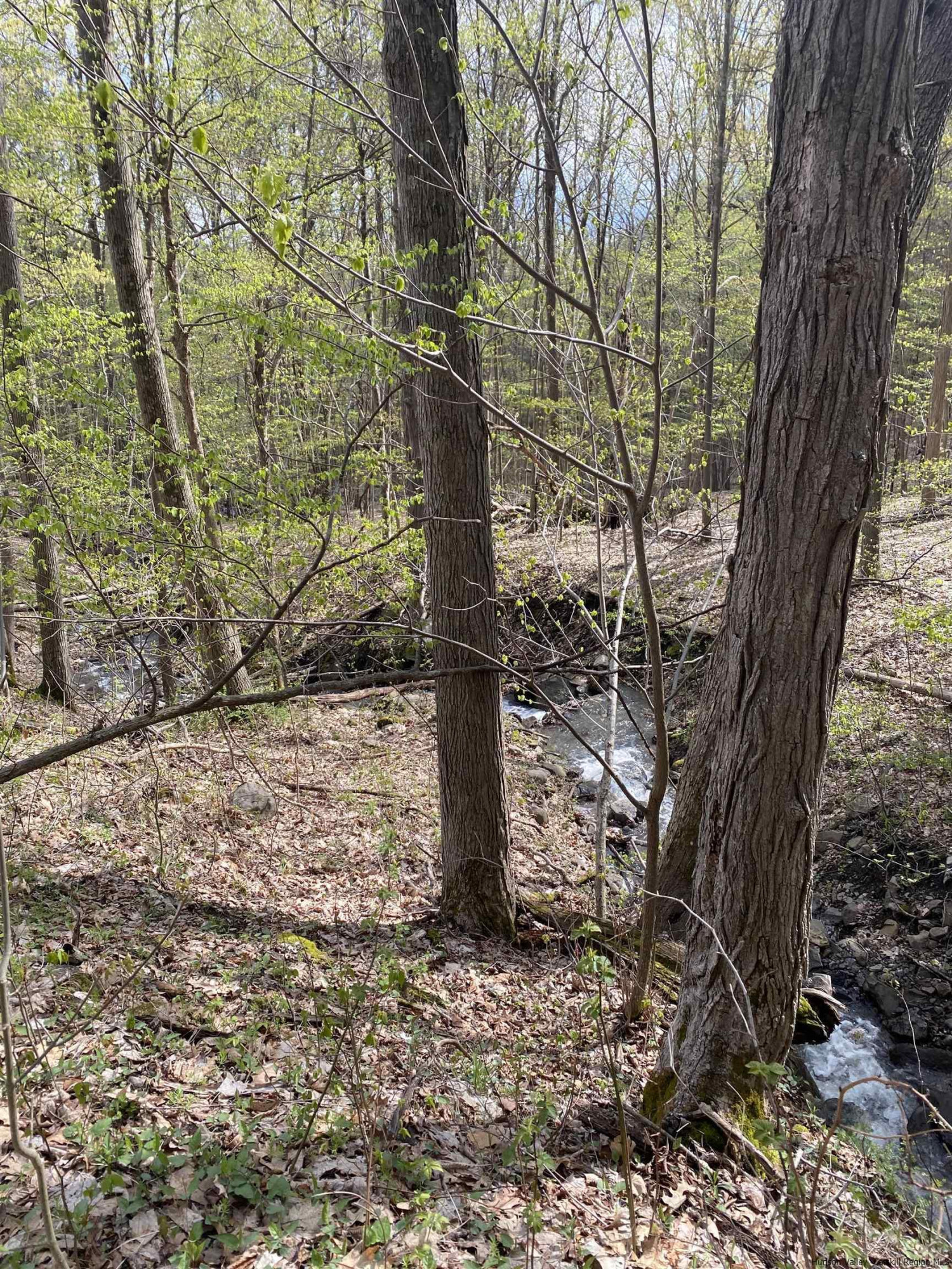 Tbd Mill Valley Road Middleburgh, NY 12122 - Photo 3 of 7 Photo 3