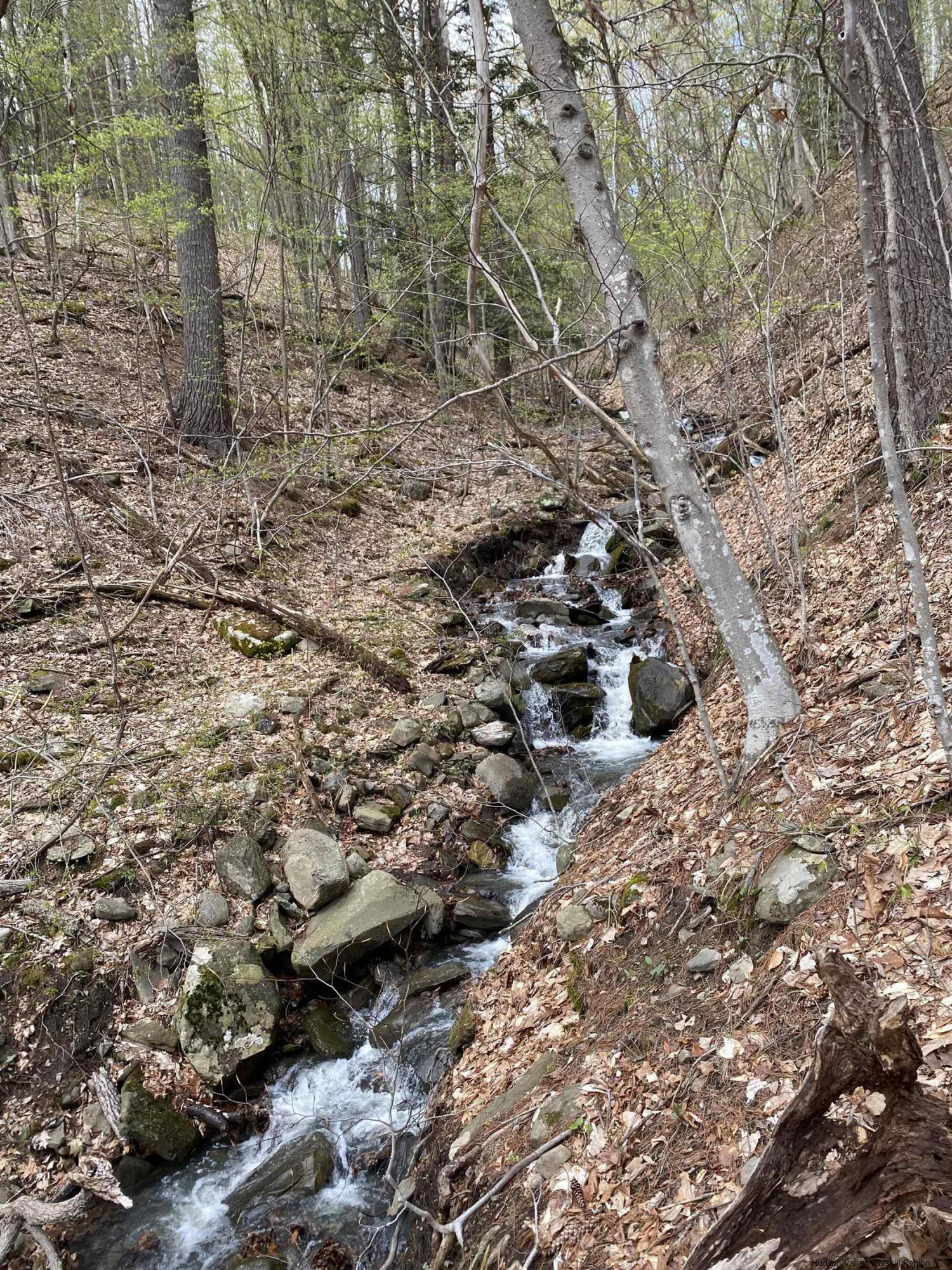 Tbd Mill Valley Road Middleburgh, NY 12122 - Photo 4 of 7 Photo 4
