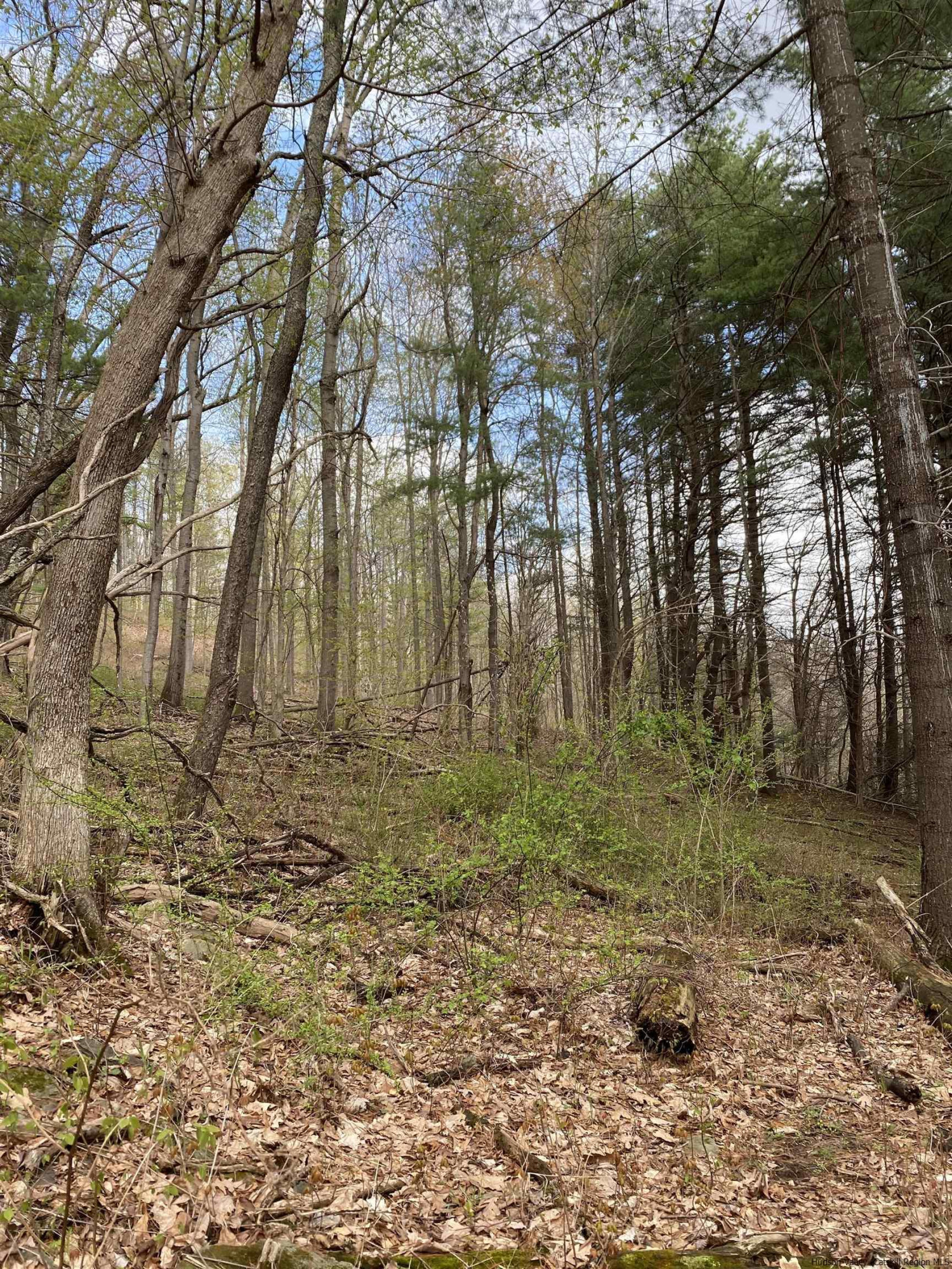 Tbd Mill Valley Road Middleburgh, NY 12122 - Photo 6 of 7 Photo 6