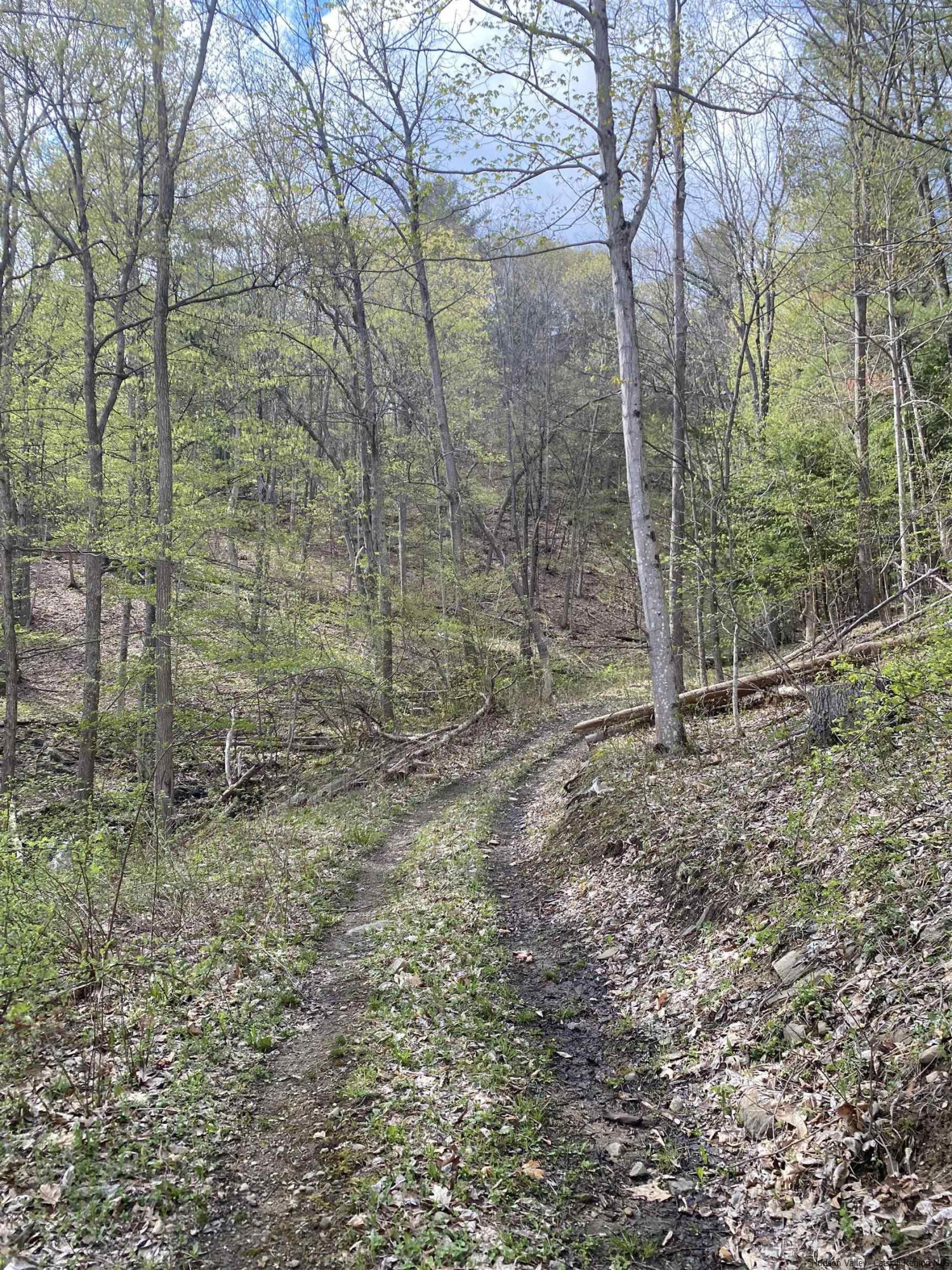 Tbd Mill Valley Road Middleburgh, NY 12122 - Photo 7 of 7 Photo 7