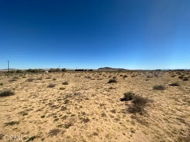 a view of a room with a tree