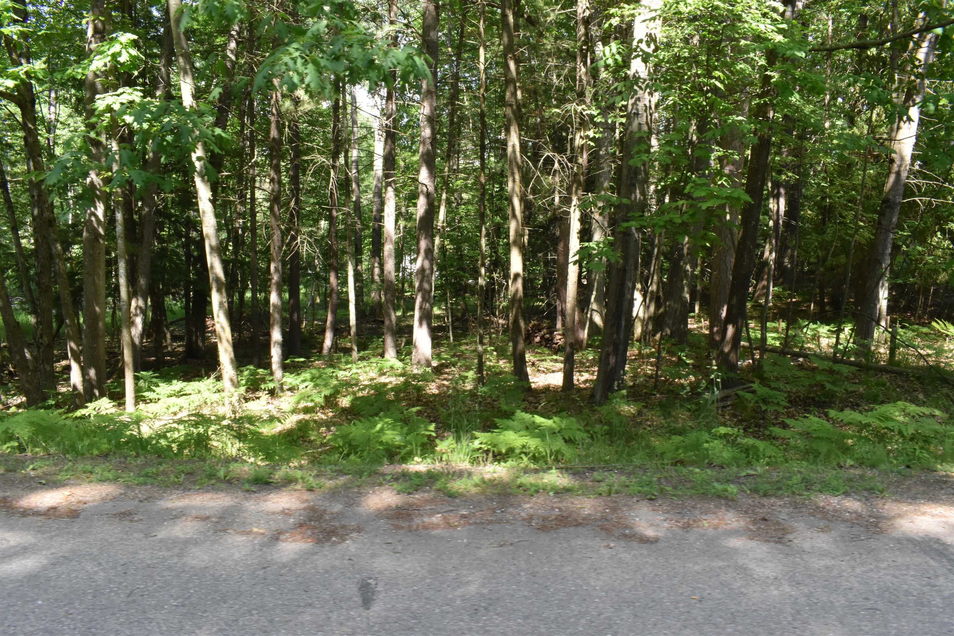 Lot 196 Princess Way Gladwin, MI 48624 - Photo 5 of 12