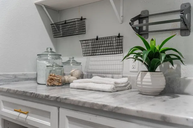 a close view of two chairs and a potted plant on a counter