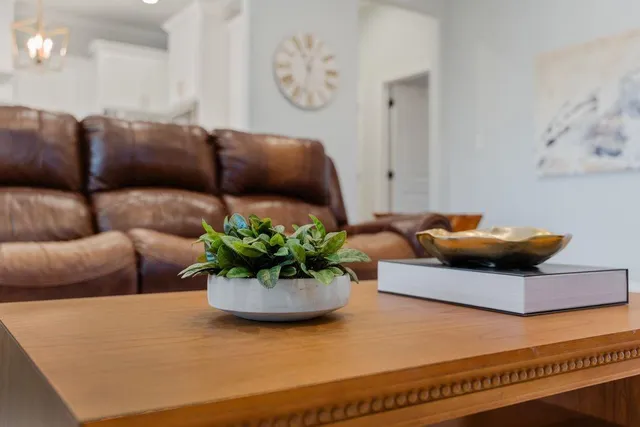 a living room with furniture and a potted plant