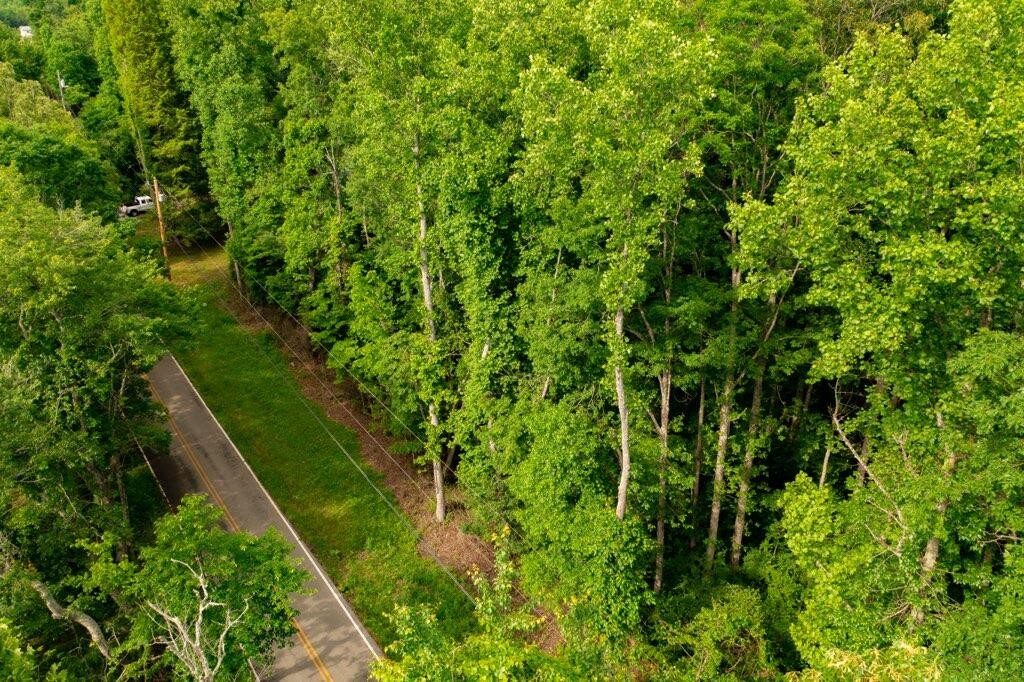 0 Van Winkle Road Spencer, TN 38585 - Photo 1 of 21