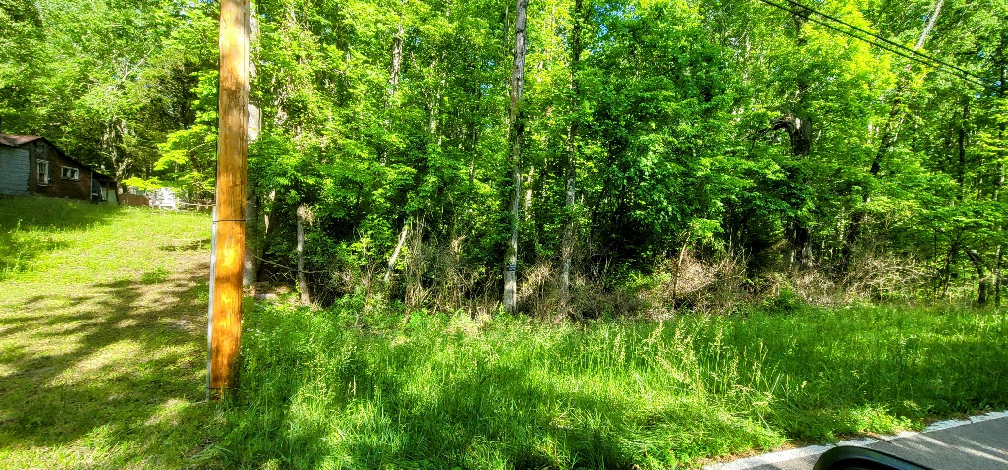 0 Van Winkle Road Spencer, TN 38585 - Photo 9 of 21 a view of yard from balcony