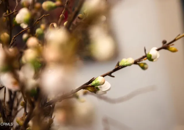 $995,000 | 382 East California Boulevard, Unit 105, Pasadena, CA 91106