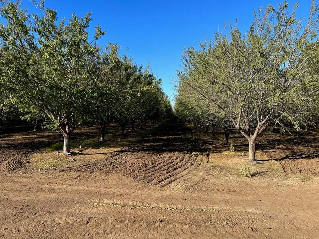 a view of a road with a yard